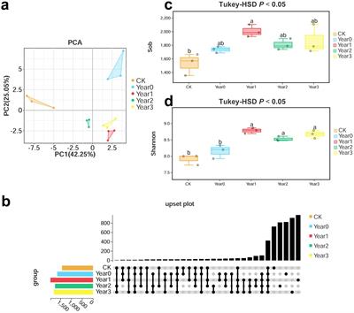 Unraveling the key mechanisms of Gastrodia elata continuous cropping obstacles: soil bacteria Massilia, Burkholderia-Caballeronia-Paraburkholderia, and Dyella along with soil metabolites 4-hydroxy-benzenemethanol and N-(2-butyl)-N-octadecyl-, ethyl ester as crucial indicators